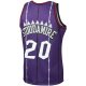 Men's Toronto Raptors Damon Stoudamire Mitchell & Ness Purple 1995/96 Hardwood Classics Swingman Jersey