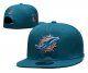 Miami Dolphins's blue cap