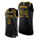 Men's Nike Los Angeles Lakers Front #8 Back #24 Kobe Bryant Black Mamba Day Special Edition Jersey